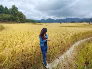 Celebrating Ziro Music Festival: An Exhilarating Time Of The Year (2020-2021)!! 4 ziro music festival